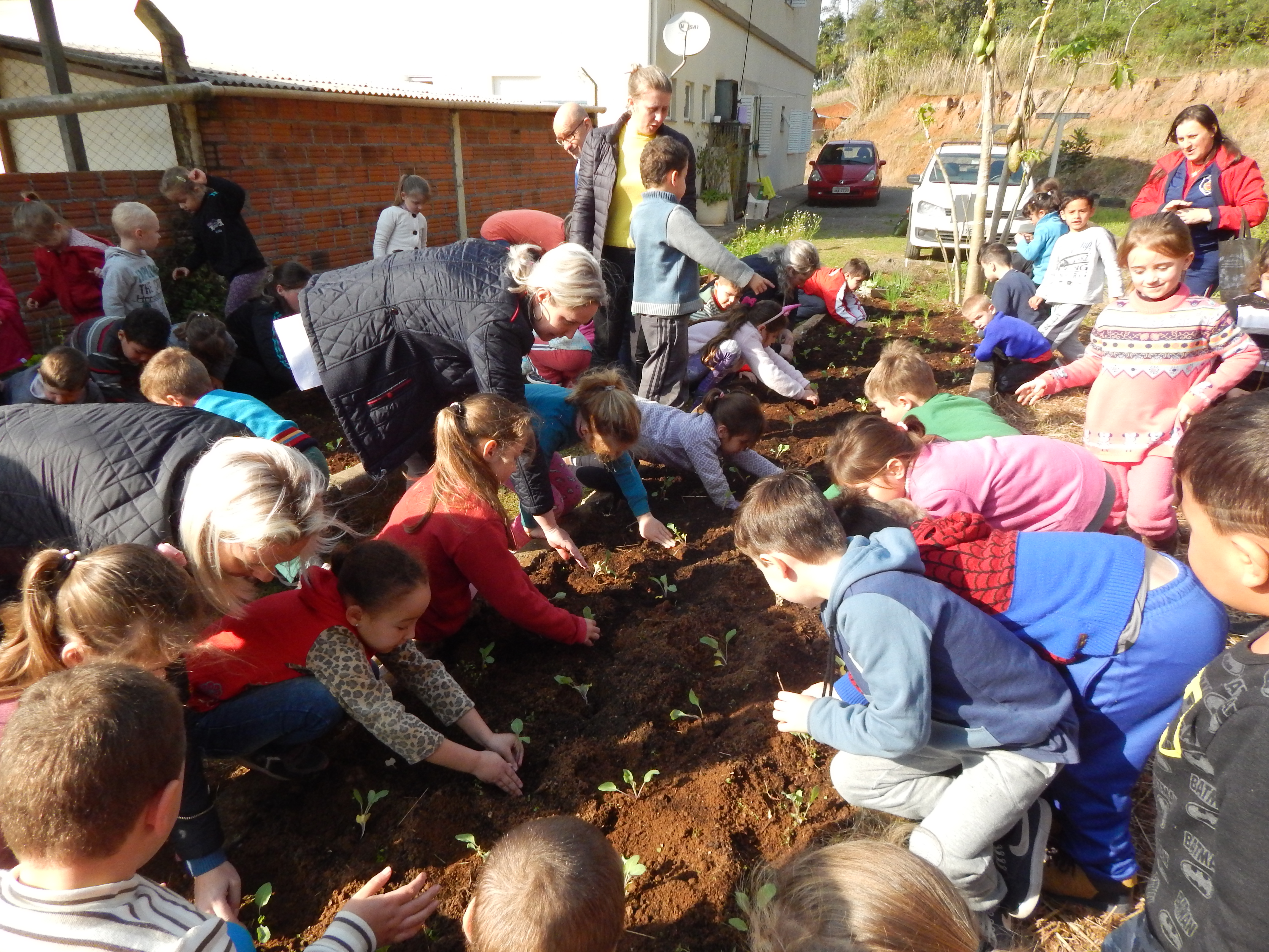 Santa Clara | Plantando o Bem