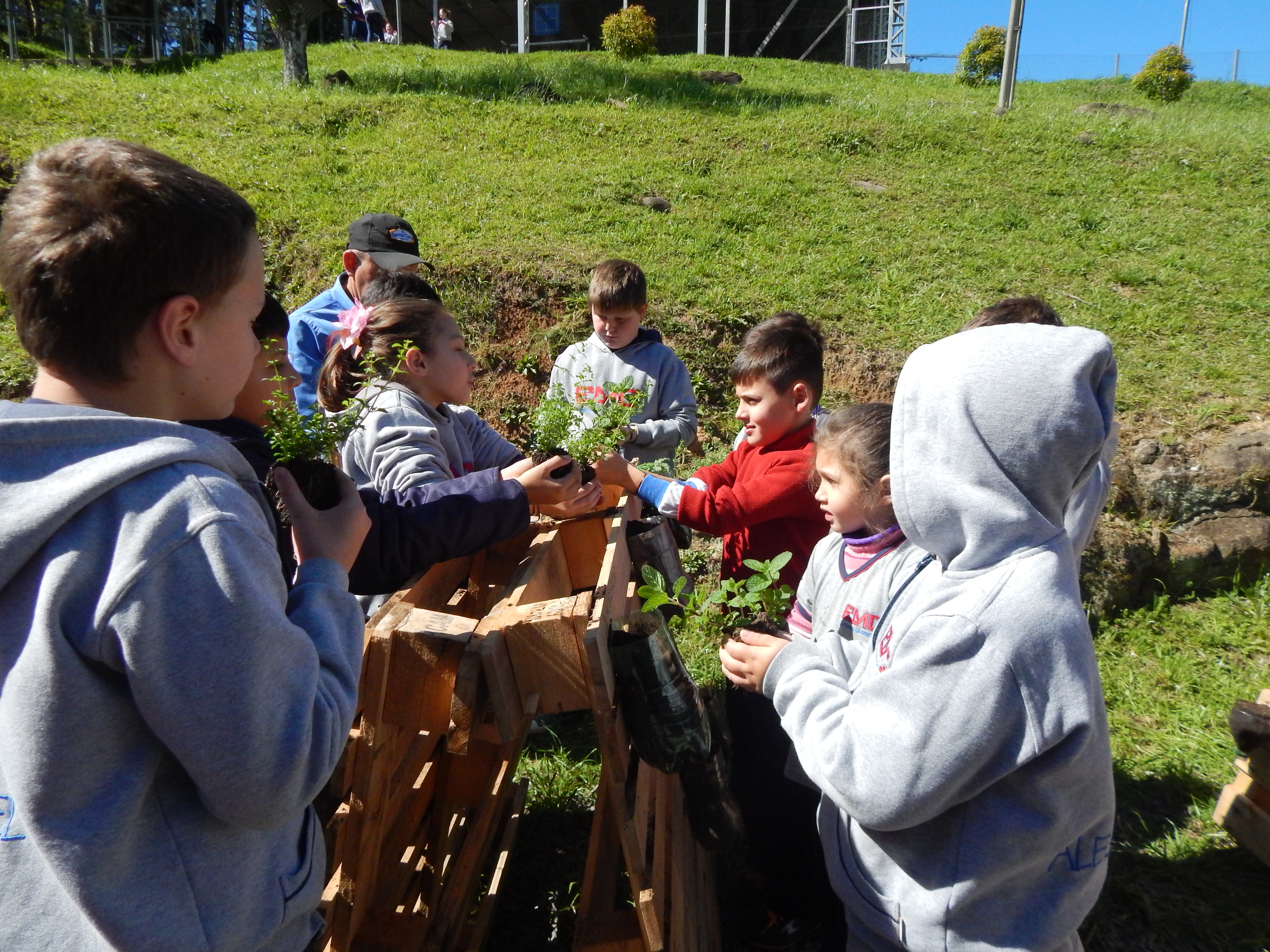 Santa Clara | Plantando o Bem