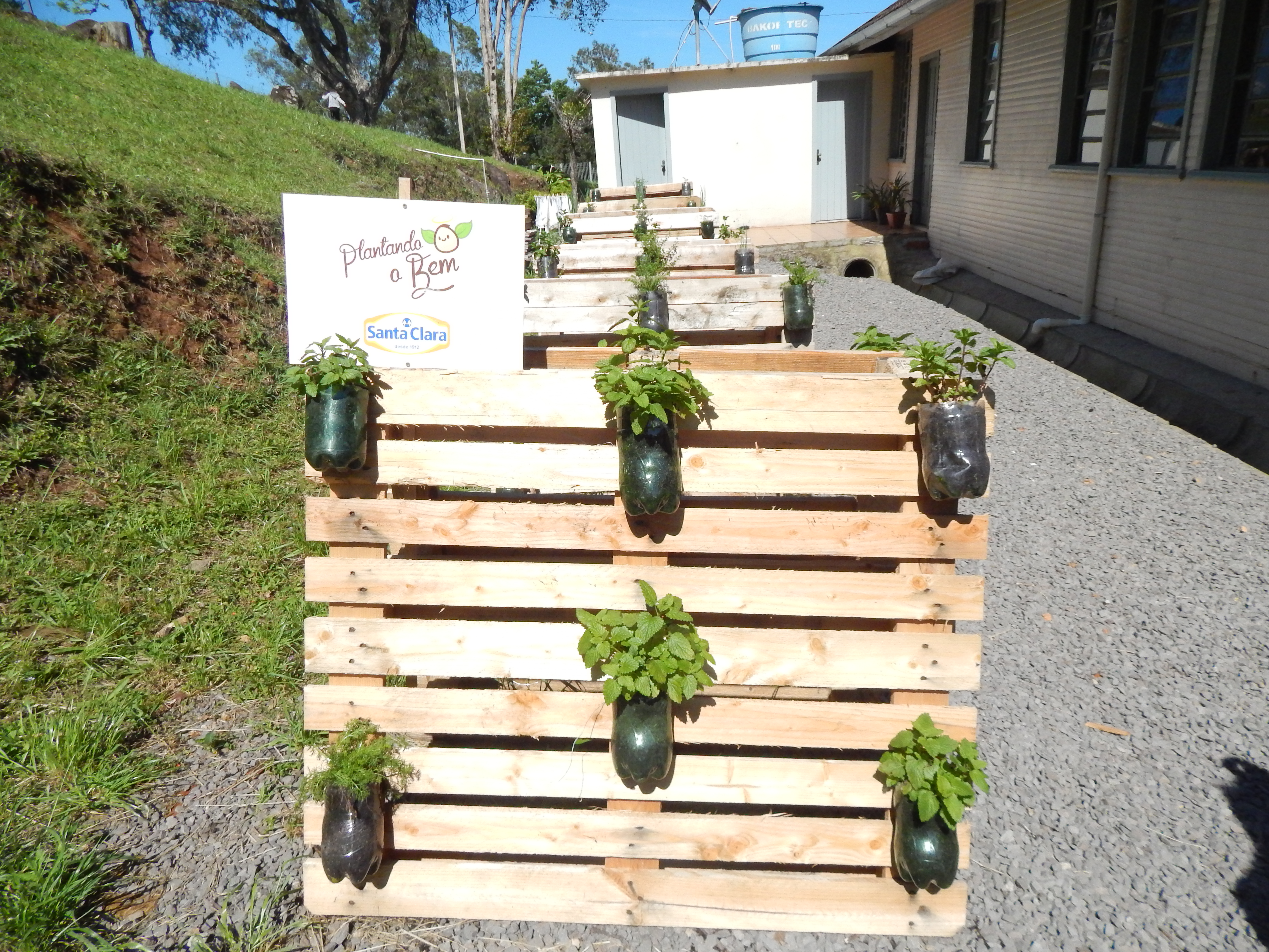Santa Clara | Plantando o Bem