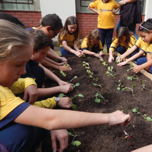 Santa Clara Plantando o Bem